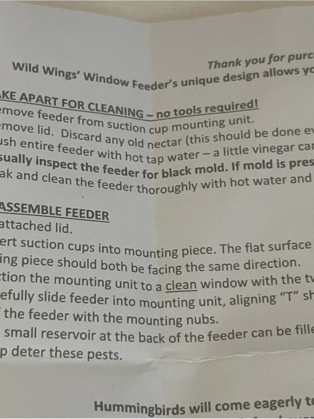 Window hummingbird feeder plastic suction 3 feeding holes new no box